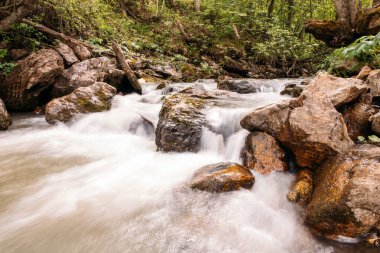 Ormandaki dağlarda taşlı bir nehir. Su.