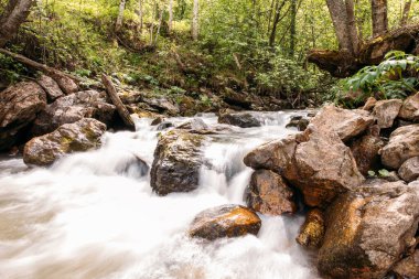 Ormandaki dağlarda taşlı bir nehir. Şelale.