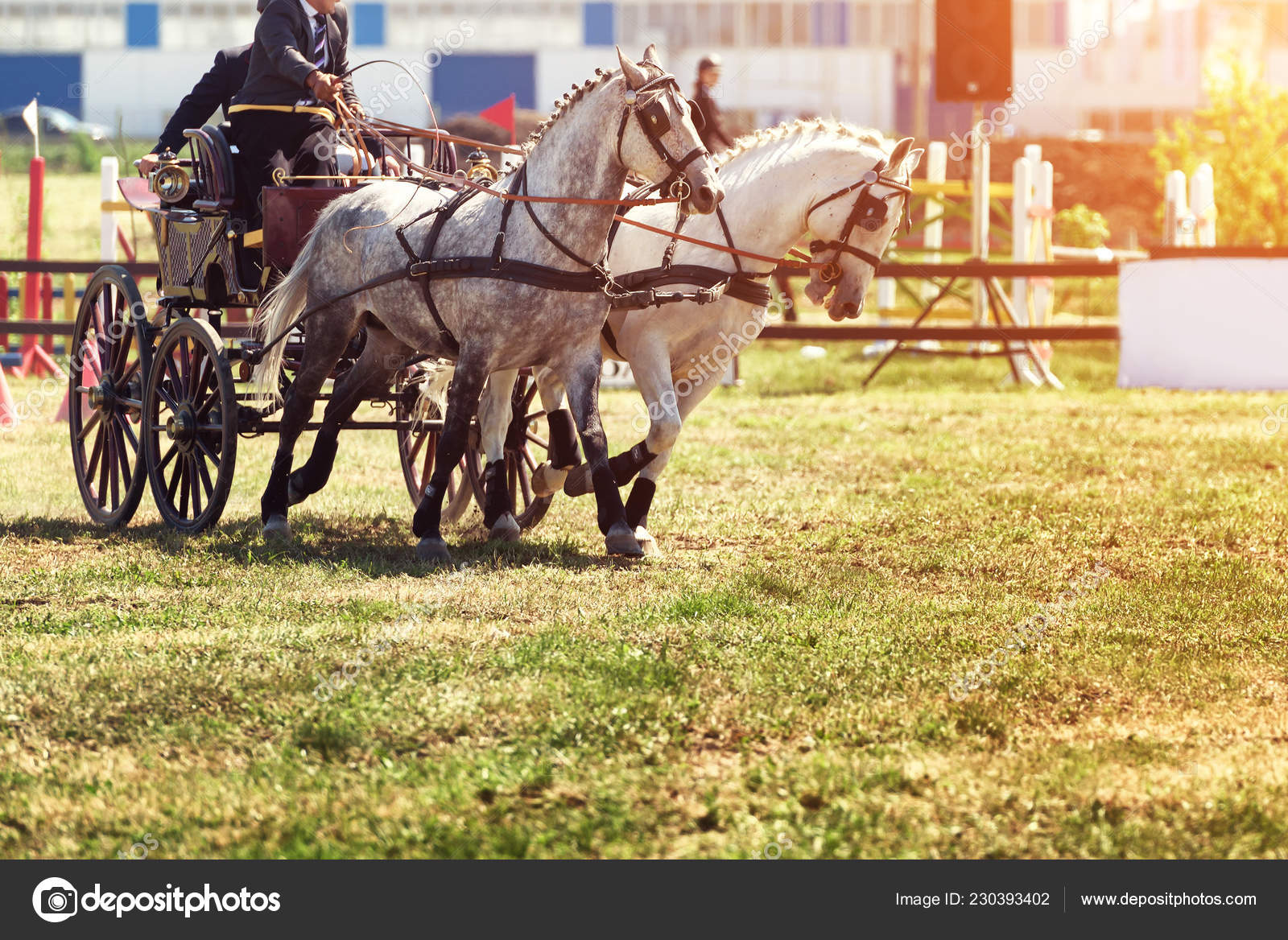 Corrida Carruagem Com Obstáculos Cavalos fotos, imagens de