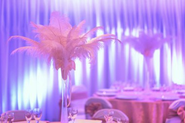 Bir dekorasyon bir düğün mekanı olarak uzun bir vazo içinde Tüyler