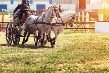 Engeller ve atlar ile Chariot yarış