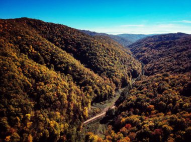 Gün batımında çarpıcı sıcak renkli sonbahar sonbahar orman Drone görünümü