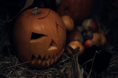 Ahşap arka planda kabak başları ve sonbahar sahne