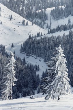 snowlift ile karlı orman, yamaç insanlar kayak