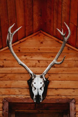 Karda, eski, rustik ahşap kabin üzerinde büyük boynuzları ile Geyik kafatası