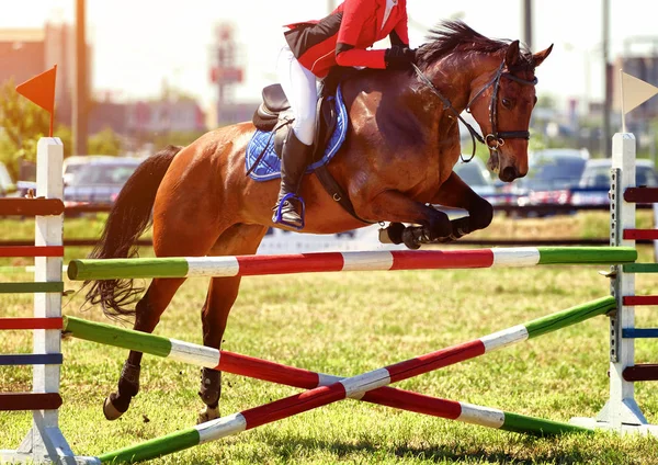 Corrida Carruagem Com Obstáculos Cavalos fotos, imagens de