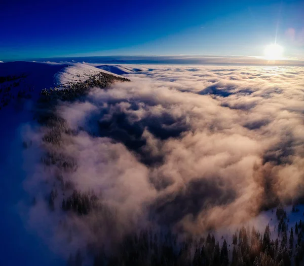 Flygbild Över Vinter Bakgrunden Med Snötäckt Skog Och Vatten — Stockfoto