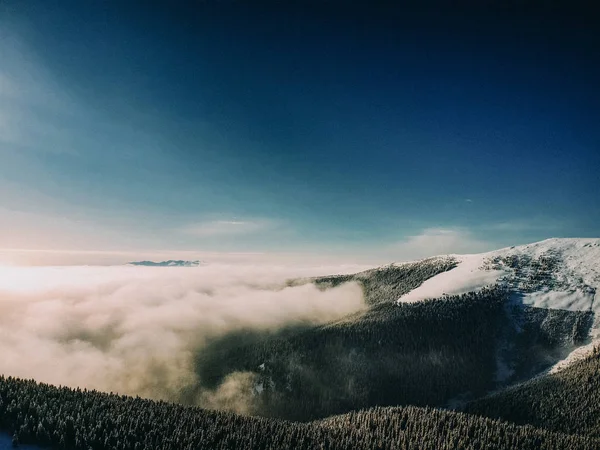 雪に覆われた森と水を持つ冬の背景の航空写真 — ストック写真