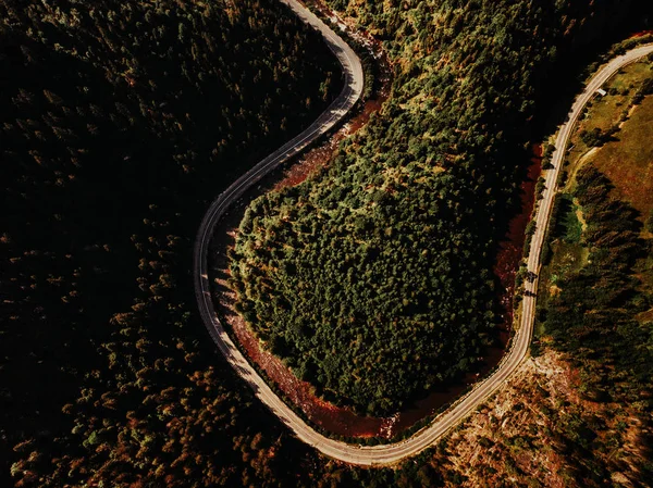古典的な道路見下ろす深い山林の航空写真 — ストック写真