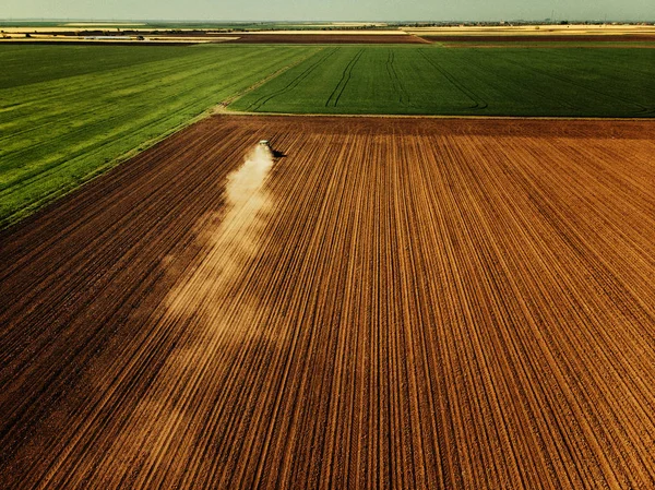 Yağlı Tohum Tecavüz Sahasının Havadan Görünümü Hasata Hazır