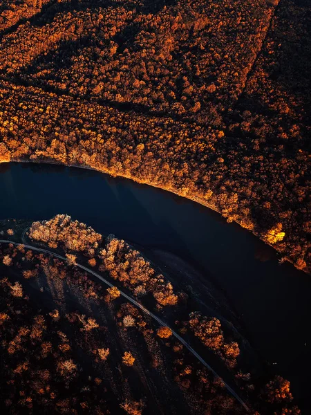 Vue Par Drone Une Superbe Forêt Automne Colorée Coucher Soleil — Photo