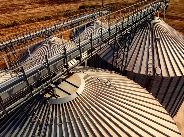 Tarım arka plan Cornd ve tahıl hasat depolamak için modern silolar