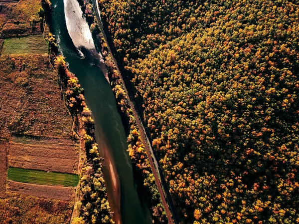 Vue Par Drone Une Superbe Forêt Automne Colorée Coucher Soleil — Photo
