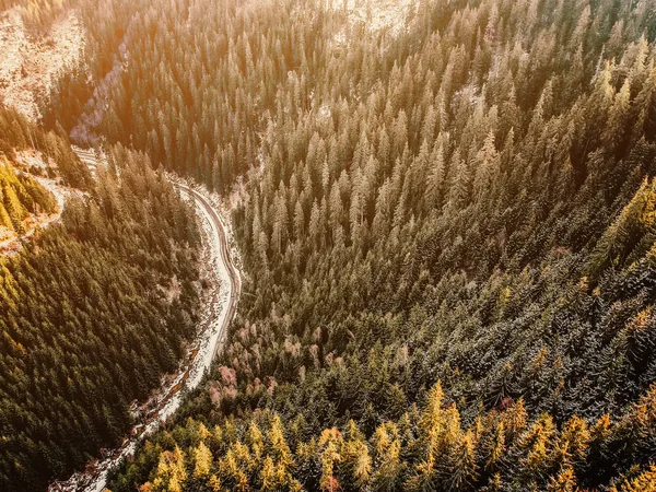 道路カーブ冬の森の航空写真 — ストック写真