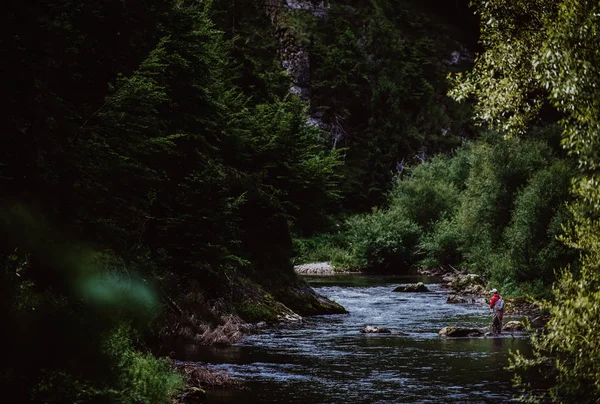 夏の山の川でのマス釣り — ストック写真