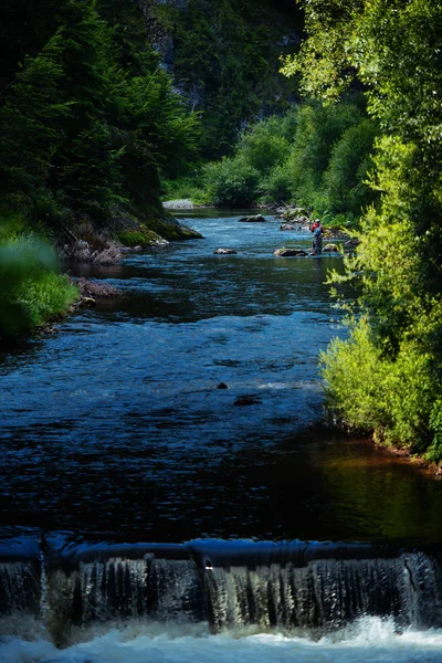 Trout Fishing Mountain River Summer Time — Stock Photo, Image