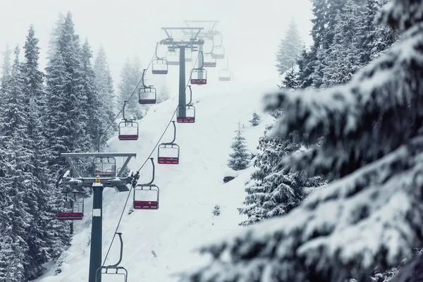 Verschneiter Wald Mit Schneebahn Skifahrer Hang — Stockfoto