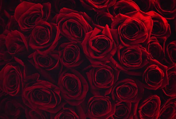 100 kırmızı gül buket Sevgililer günü için mükemmel