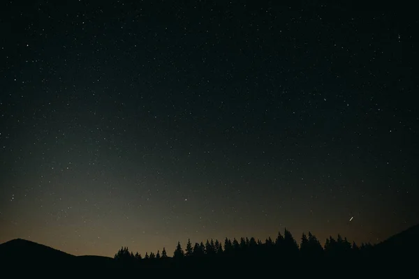 Starry Forest Achtergrond Berg Stockfoto