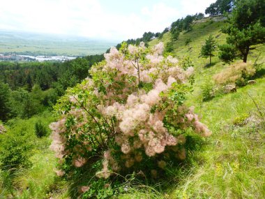Borgustan sıradağları, Rusya Federasyonu