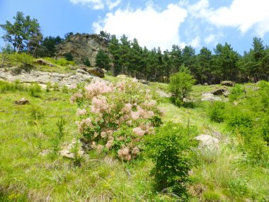 Borgustan sıradağları, Rusya Federasyonu