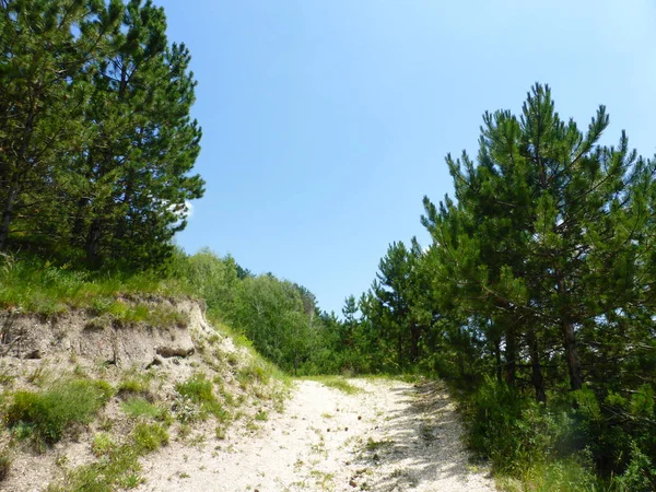 Borgustan Chaîne Montagnes Russie — Photo