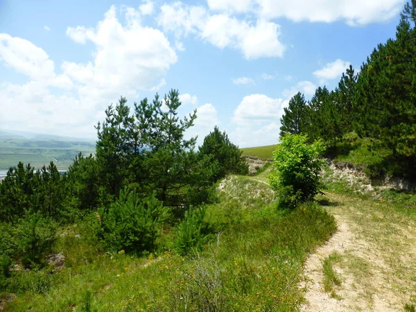 Montagna Borgustan Russia — Foto Stock