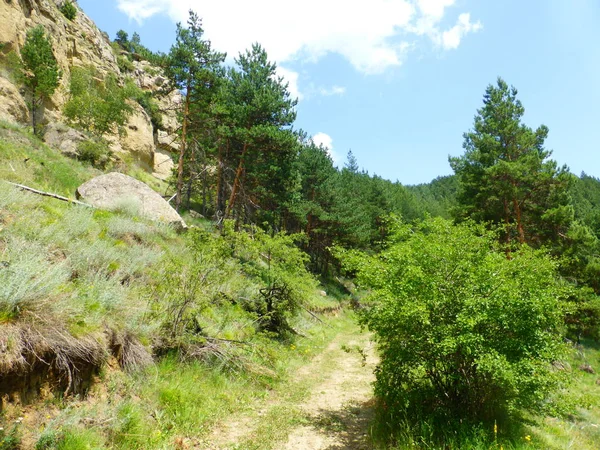 Borgustan Chaîne Montagnes Russie — Photo