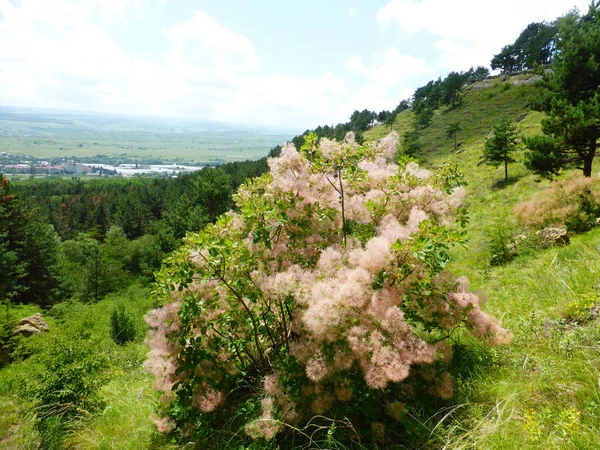 Borgustan sıradağları, Rusya Federasyonu