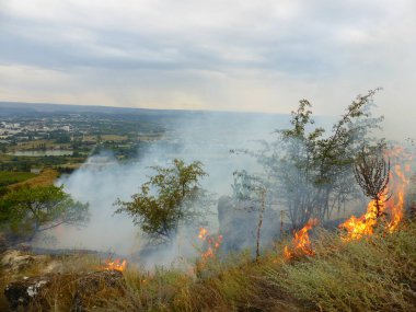 Kislovodsk, Rusya'nın Kislovodsk şehrindeki bir ring-mount'daki ormanda yangın