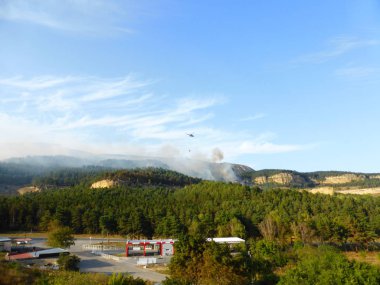Kislovodsk, Rusya'nın Kislovodsk şehrindeki bir ring-mount'daki ormanda yangın
