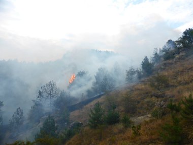 Kislovodsk, Rusya'nın Kislovodsk şehrindeki bir ring-mount'daki ormanda yangın