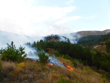 Kislovodsk, Rusya'nın Kislovodsk şehrindeki bir ring-mount'daki ormanda yangın