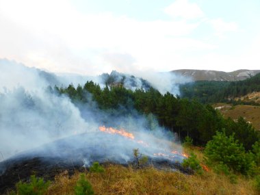 Kislovodsk, Rusya'nın Kislovodsk şehrindeki bir ring-mount'daki ormanda yangın