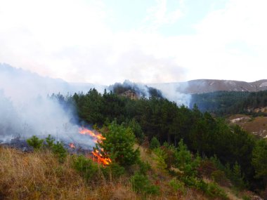 Kislovodsk, Rusya'nın Kislovodsk şehrindeki bir ring-mount'daki ormanda yangın