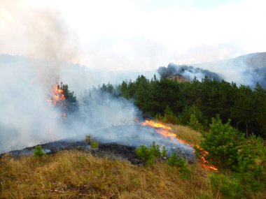 Kislovodsk, Rusya'nın Kislovodsk şehrindeki bir ring-mount'daki ormanda yangın