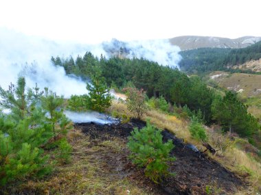 Kislovodsk, Rusya'nın Kislovodsk şehrindeki bir ring-mount'daki ormanda yangın