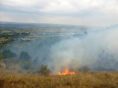 Kislovodsk, Rusya'nın Kislovodsk şehrindeki bir ring-mount'daki ormanda yangın