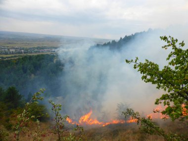 Kislovodsk, Rusya'nın Kislovodsk şehrindeki bir ring-mount'daki ormanda yangın