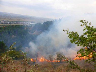 Kislovodsk, Rusya'nın Kislovodsk şehrindeki bir ring-mount'daki ormanda yangın