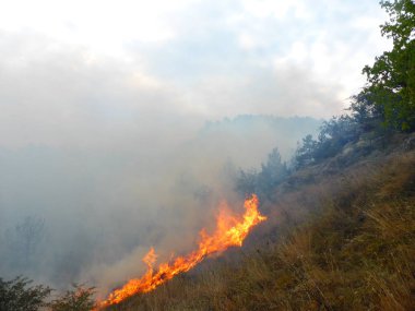Kislovodsk, Rusya'nın Kislovodsk şehrindeki bir ring-mount'daki ormanda yangın