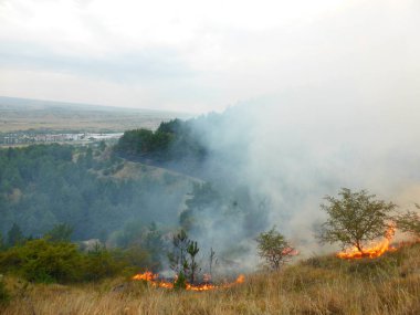 Kislovodsk, Rusya'nın Kislovodsk şehrindeki bir ring-mount'daki ormanda yangın