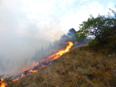 Kislovodsk, Rusya'nın Kislovodsk şehrindeki bir ring-mount'daki ormanda yangın