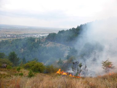 Kislovodsk, Rusya'nın Kislovodsk şehrindeki bir ring-mount'daki ormanda yangın