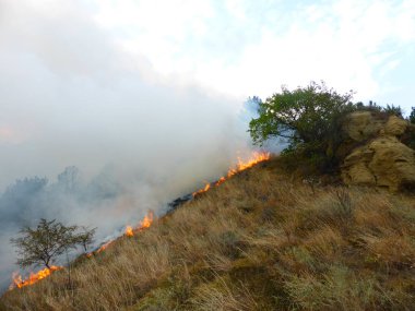 Kislovodsk, Rusya'nın Kislovodsk şehrindeki bir ring-mount'daki ormanda yangın