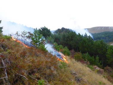 Kislovodsk, Rusya'nın Kislovodsk şehrindeki bir ring-mount'daki ormanda yangın