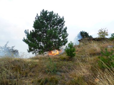 Kislovodsk, Rusya'nın Kislovodsk şehrindeki bir ring-mount'daki ormanda yangın