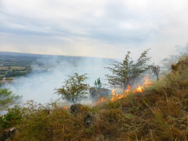 Kislovodsk, Rusya'nın Kislovodsk şehrindeki bir ring-mount'daki ormanda yangın