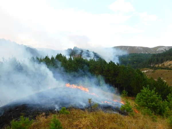Kislovodsk, Rusya'nın Kislovodsk şehrindeki bir ring-mount'daki ormanda yangın