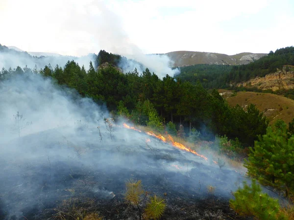 Kislovodsk, Rusya'nın Kislovodsk şehrindeki bir ring-mount'daki ormanda yangın